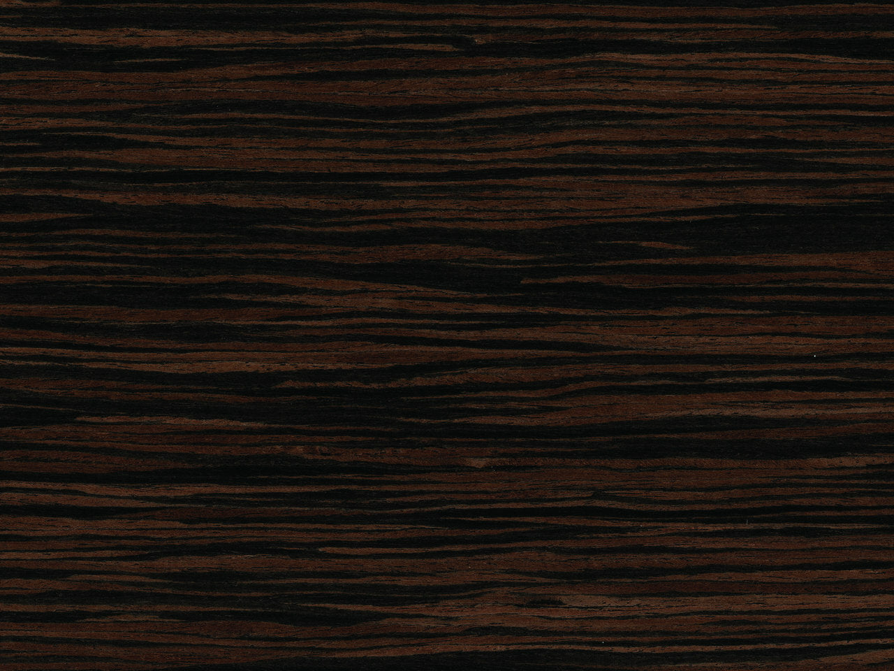 Madeline Stuart Finishes