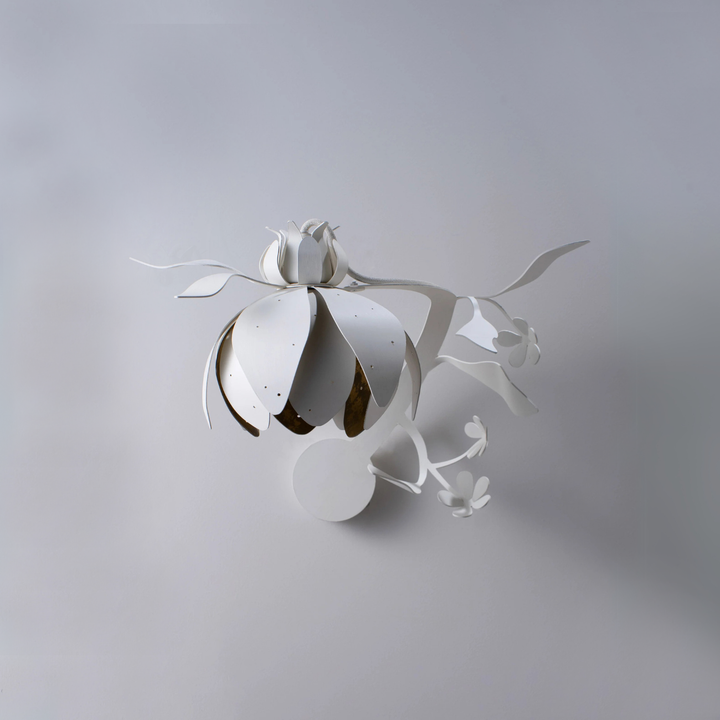 Botanica Wall Light - Kashmir with Bodu Gold