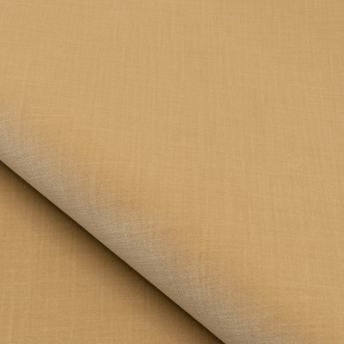 Velours Malaparte - Beige
