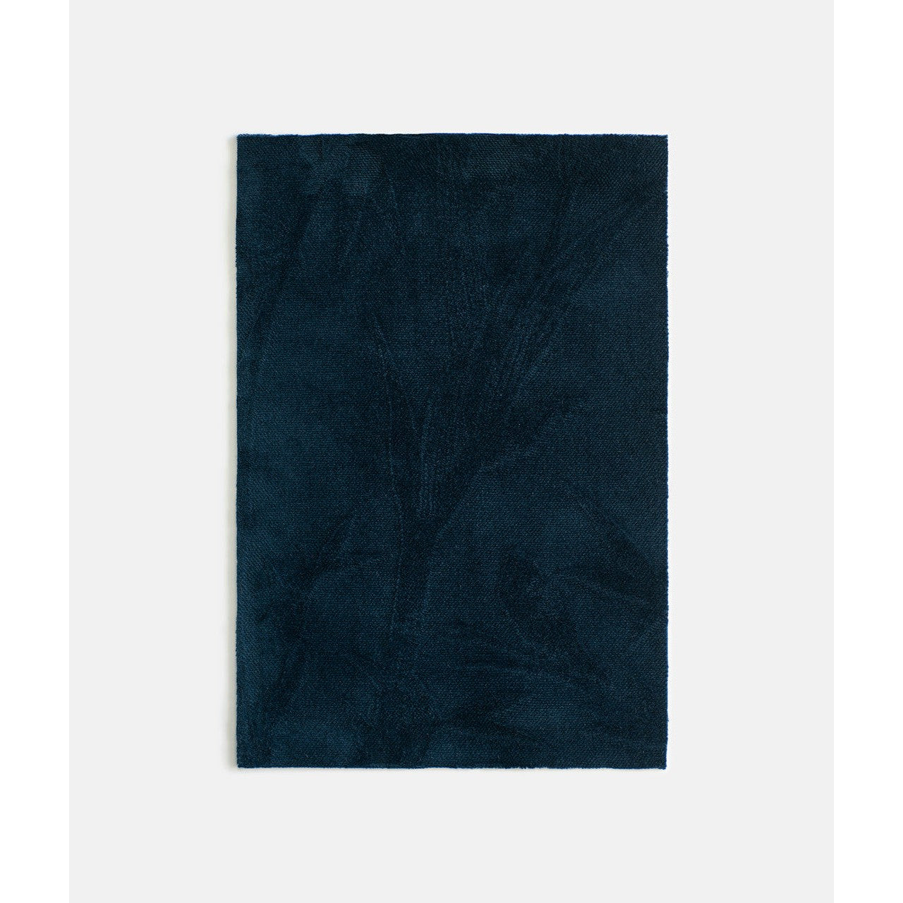 Il giardino in una stanza - Notte