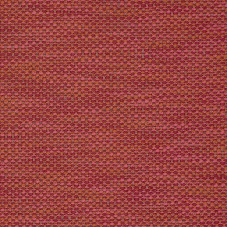 Okapi Texture - Cerise