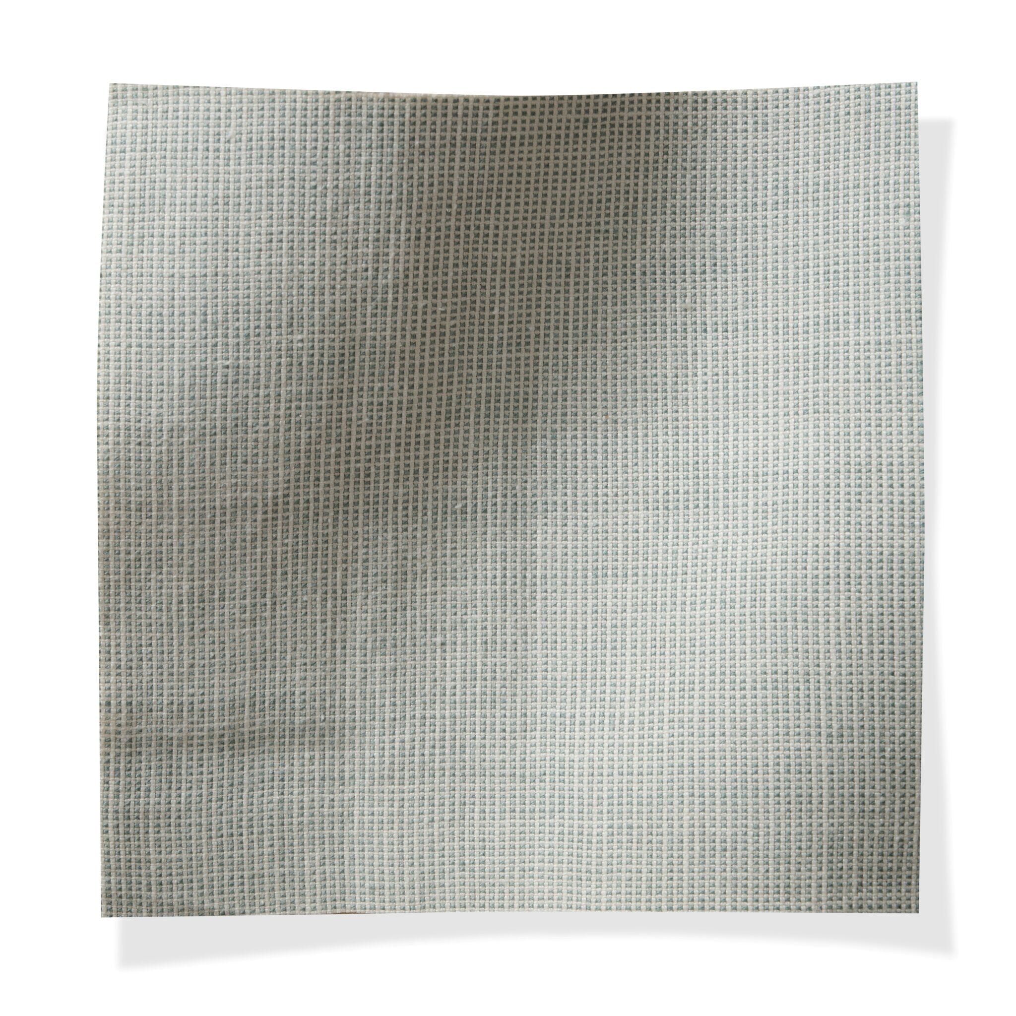 Keswick - Delphinium