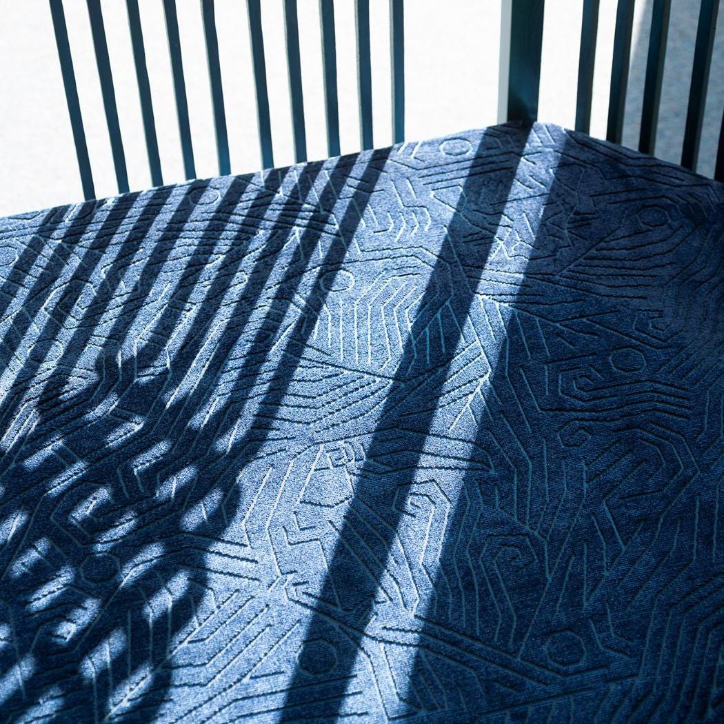 Darwinista - Scarabée