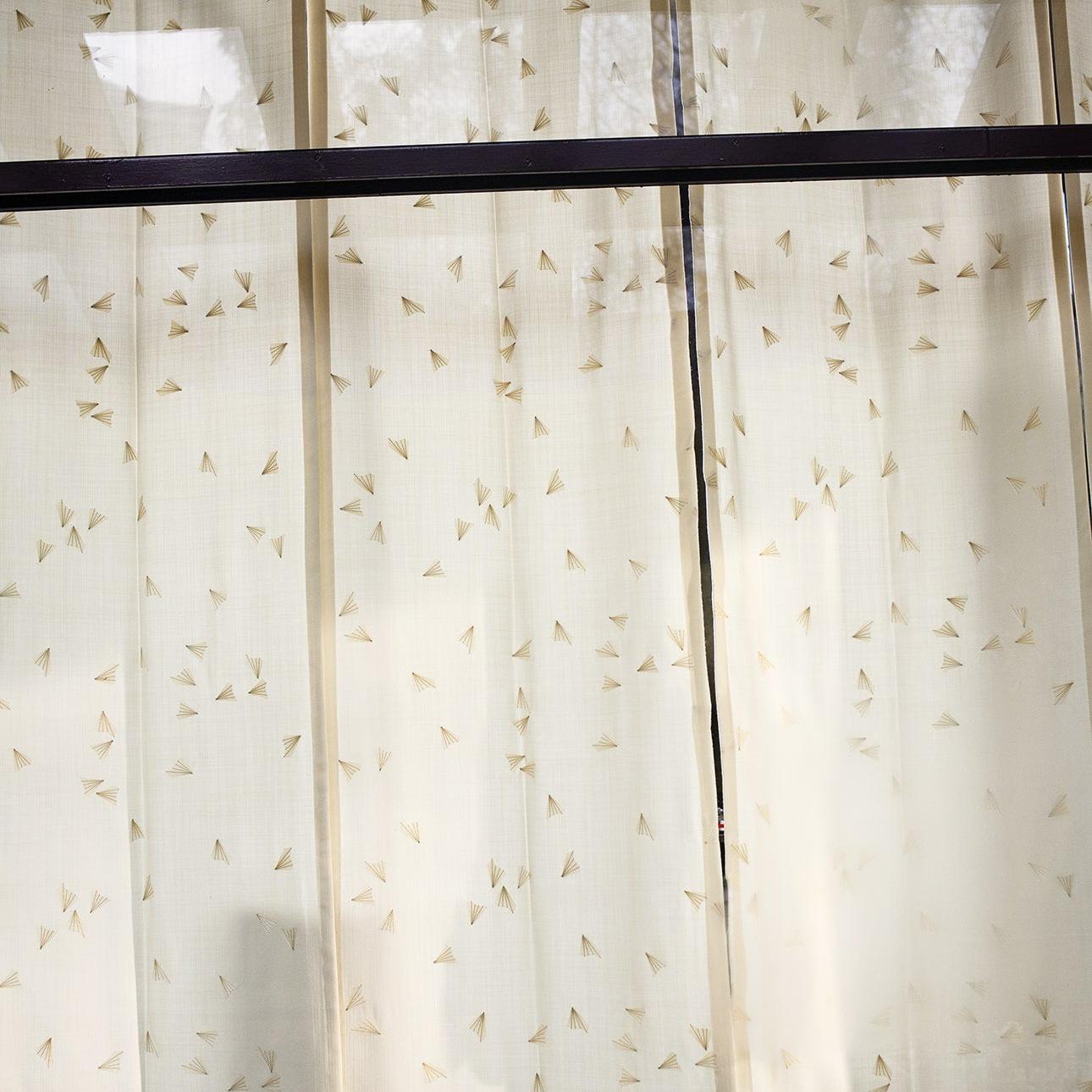 Schmetterling  - Avorio