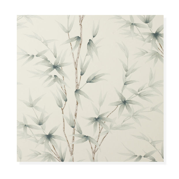 Bamboo - Santolina Wallcovering