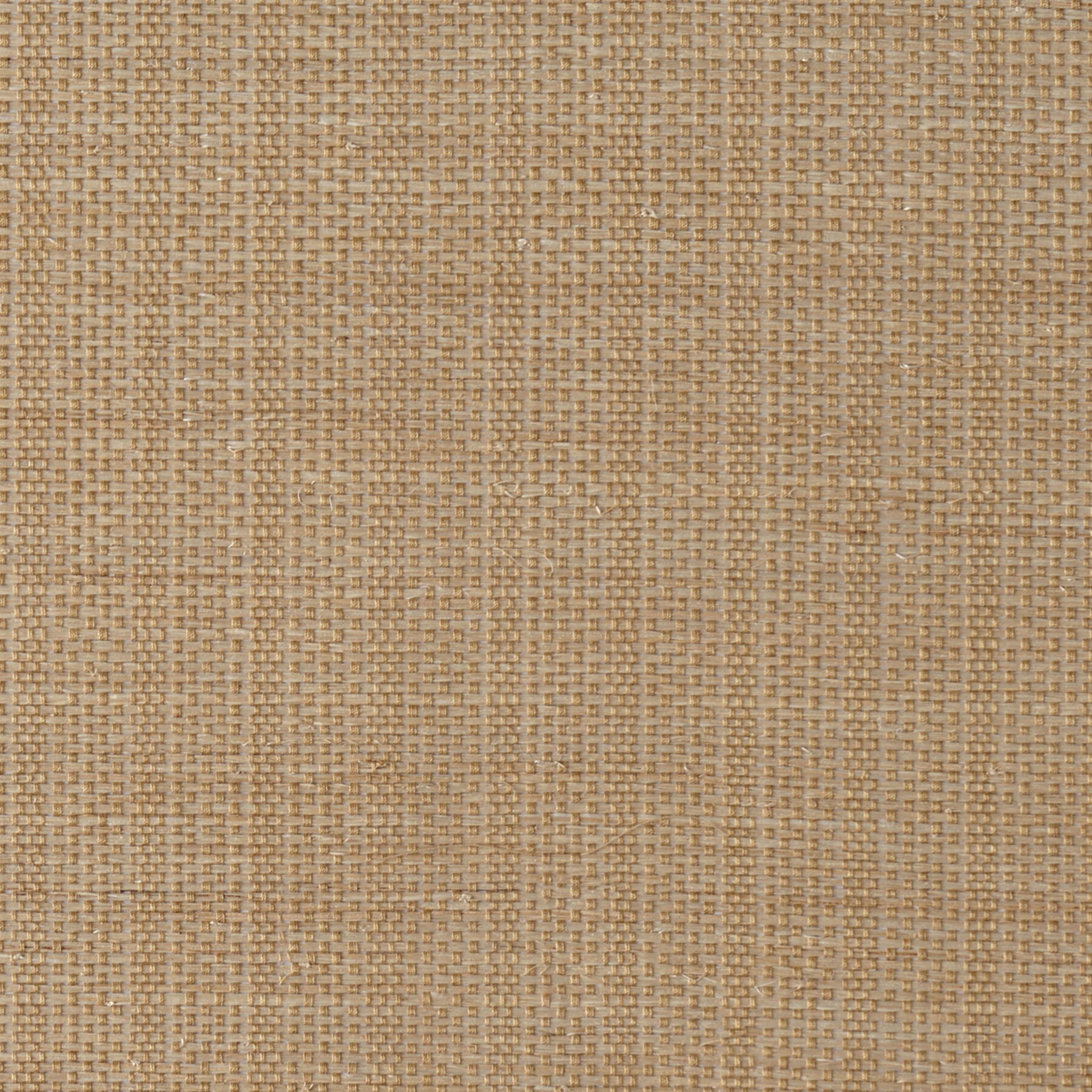 Abaca Stripe - Camel