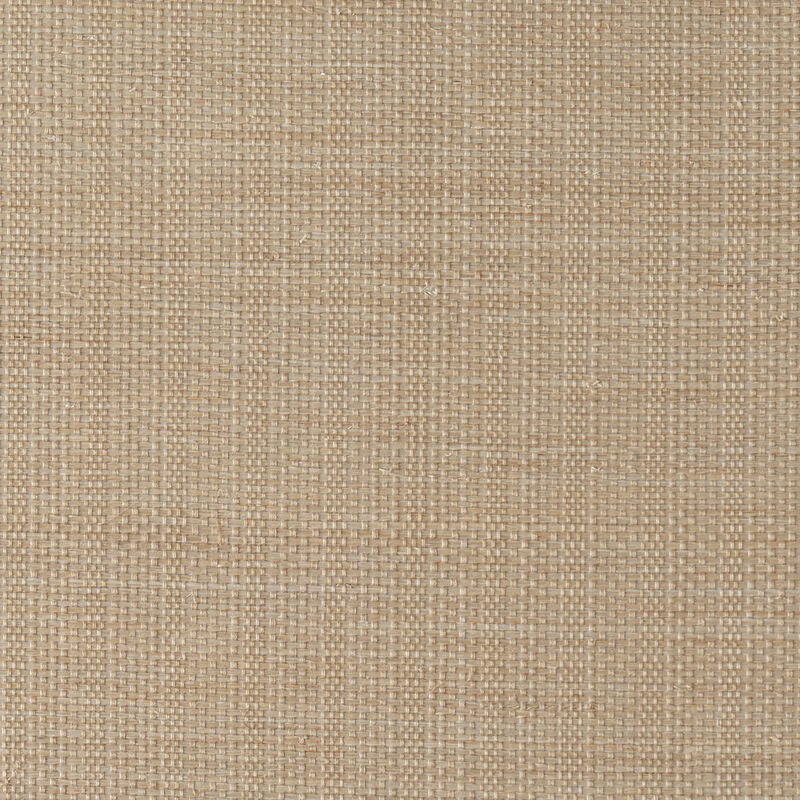 Abaca Stripe - Light Taupe