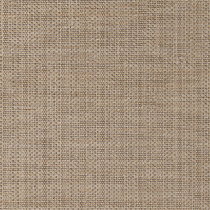 Abaca Stripe - Medium Grey