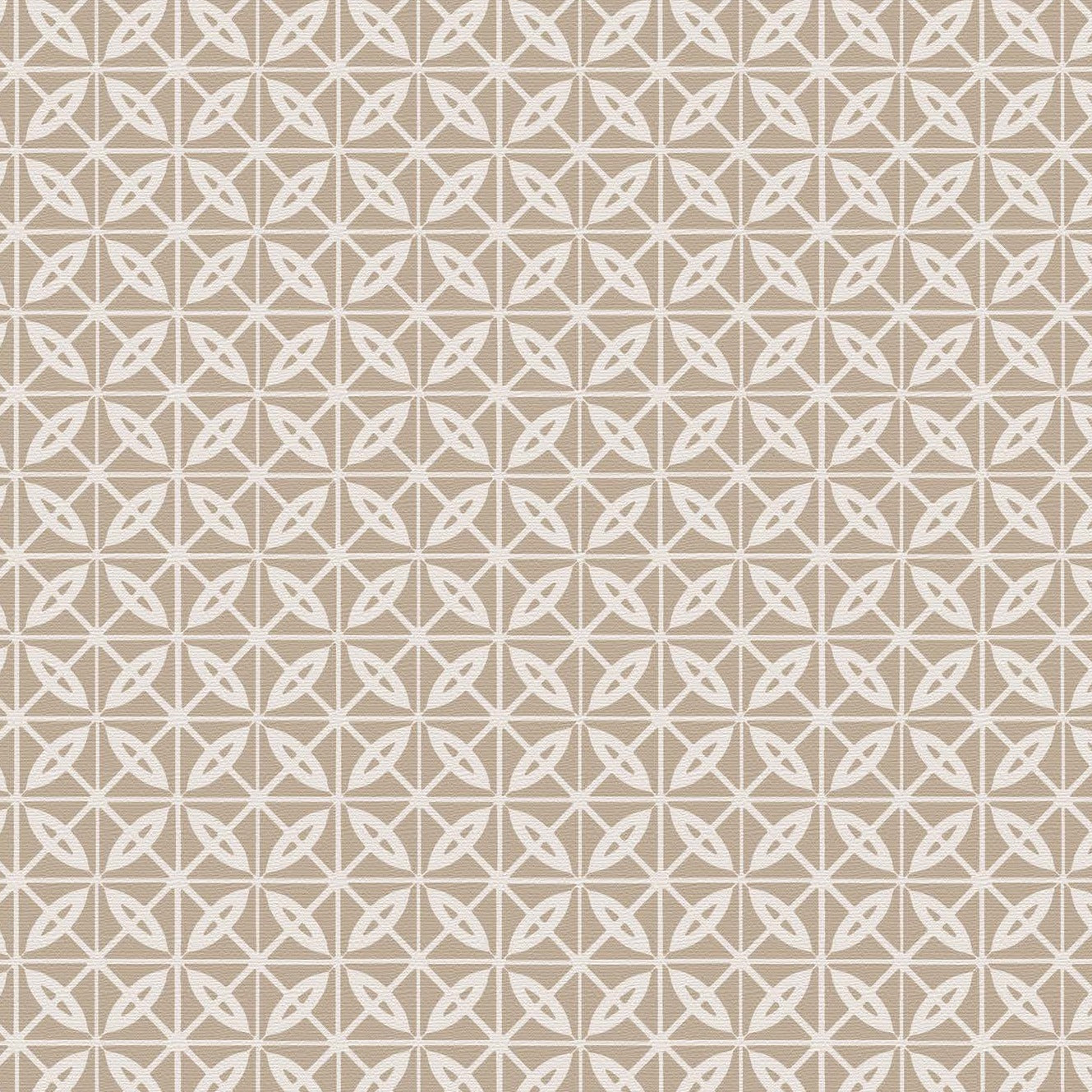 Arts Decoratif Driftwood On Dun