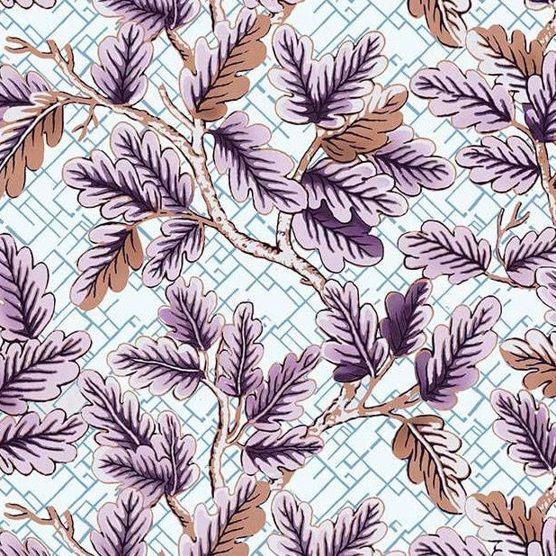 Bancroft Hummingbird