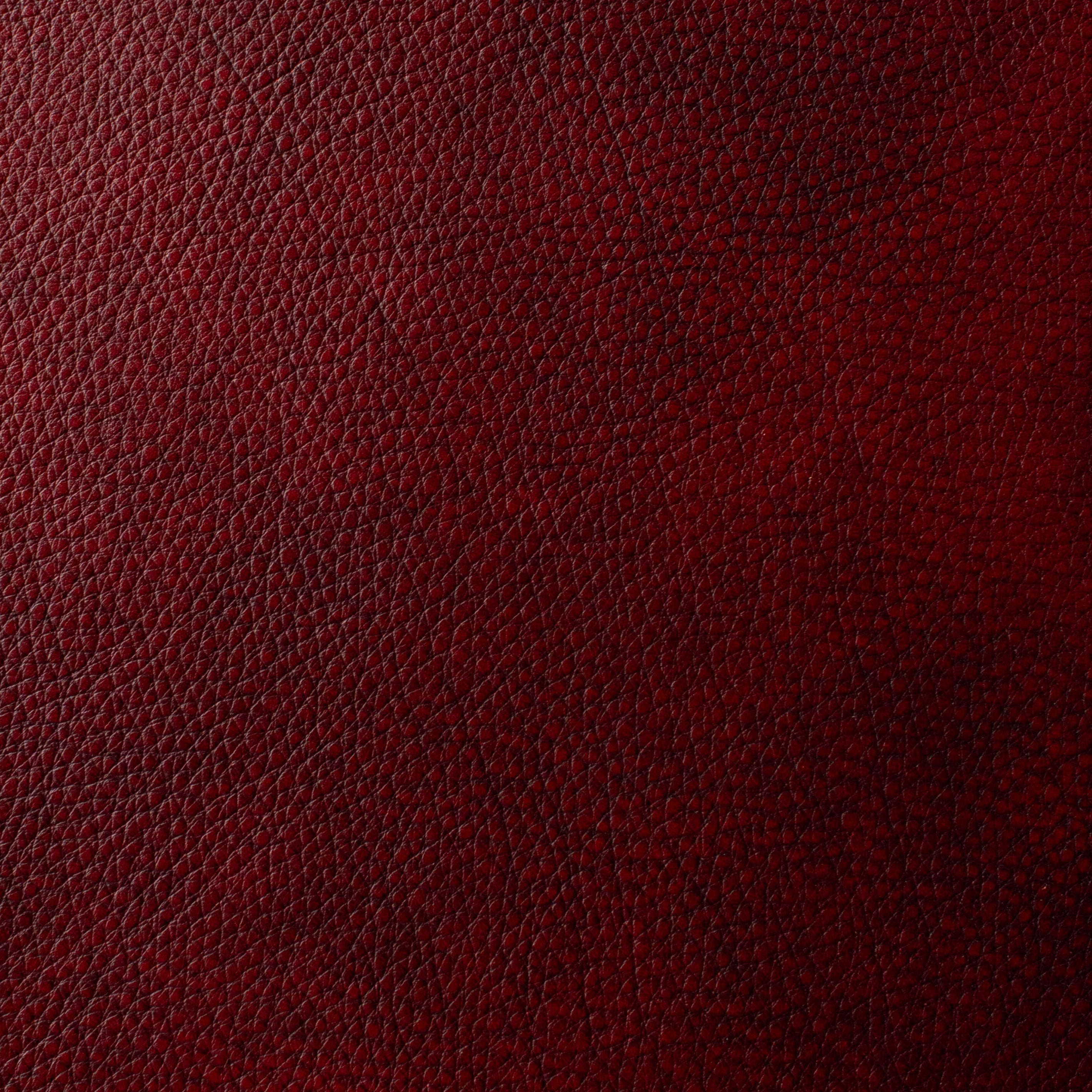 The Hide Life - Bordeaux