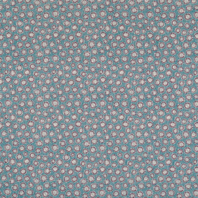 Coral 011