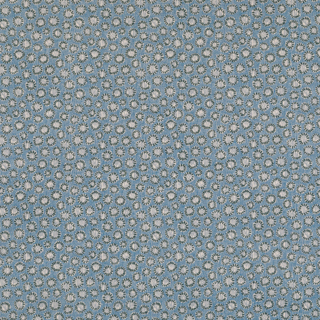 Coral 012