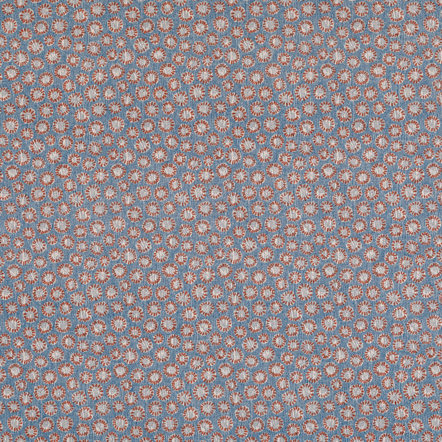 Coral 013