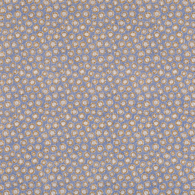 Coral 014