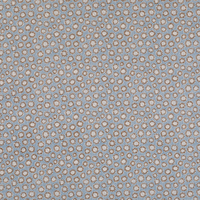 Coral 015