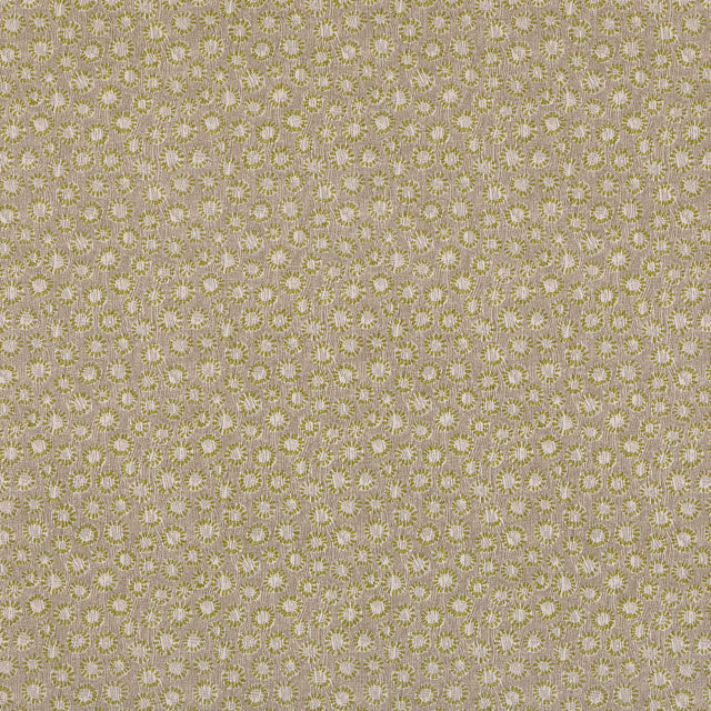 Coral 007