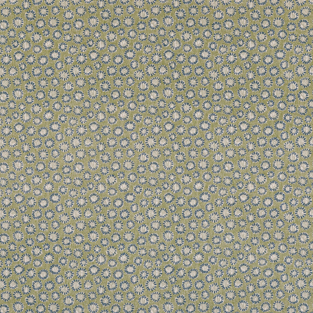 Coral 008