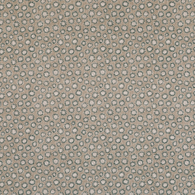 Coral 009