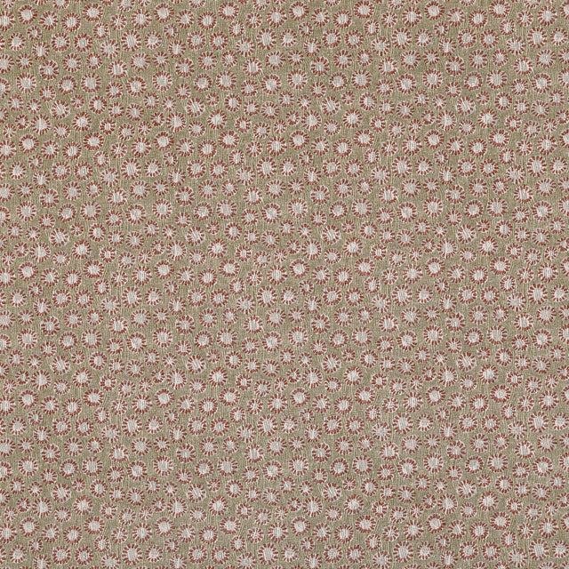 Coral 010