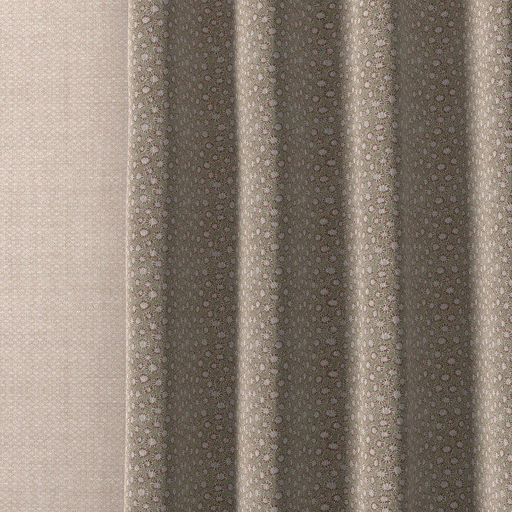 Coral 010