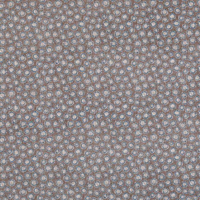 Coral 016