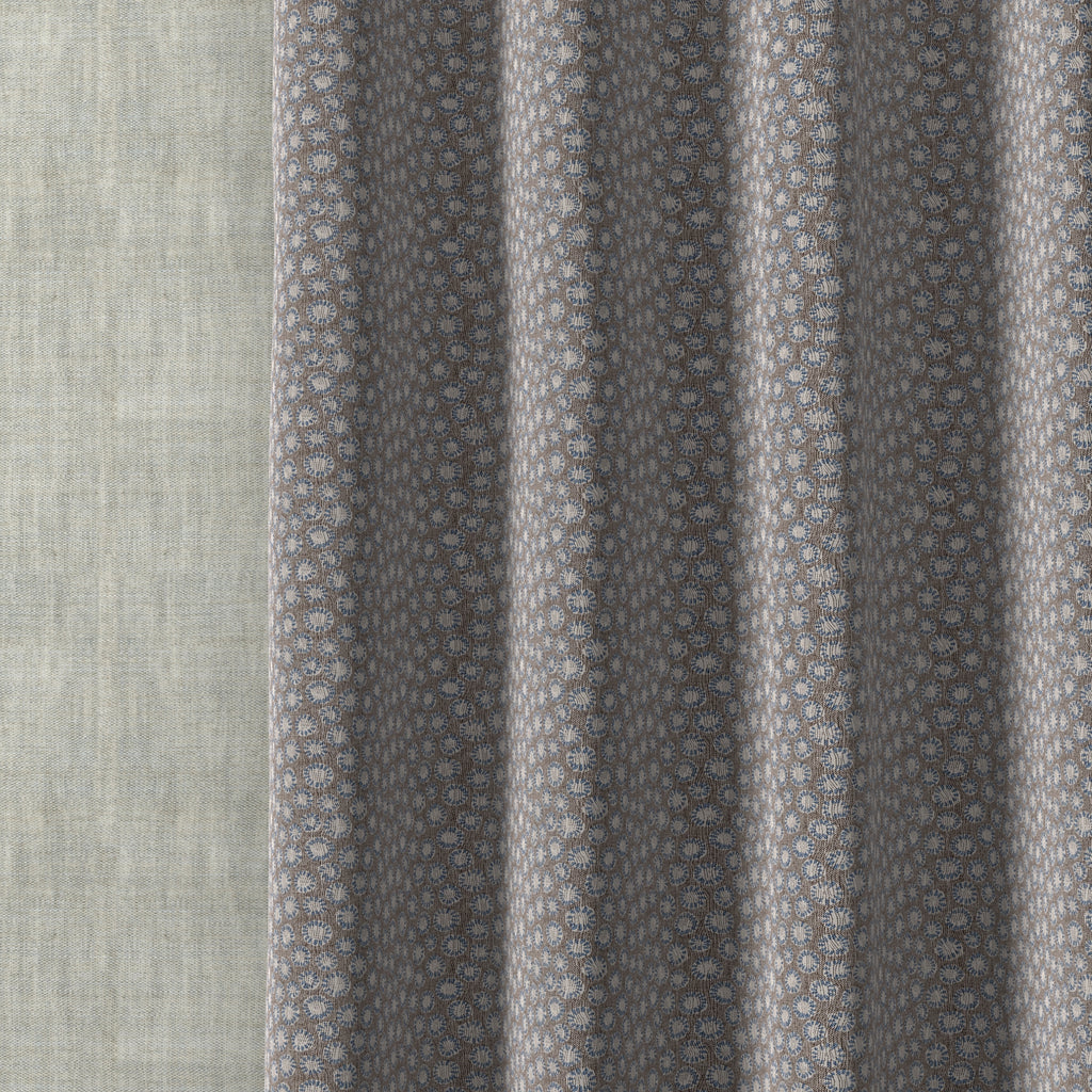 Coral 016