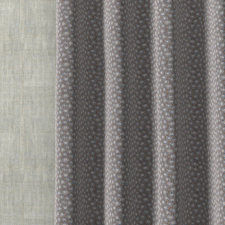 Coral 016