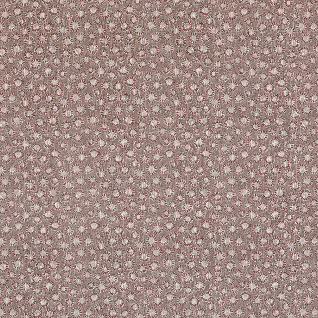 Coral 017