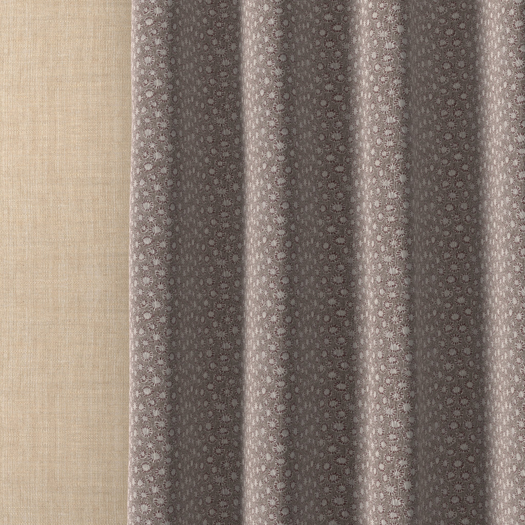 Coral 017