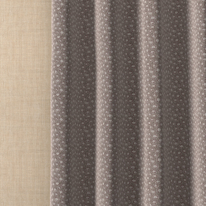 Coral 017
