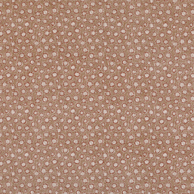 Coral 018