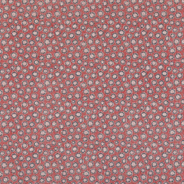 Coral 001