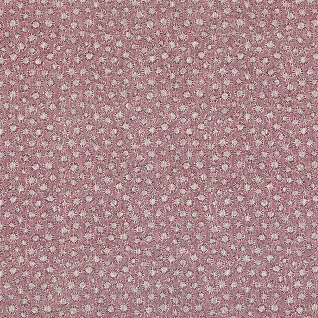 Coral 002