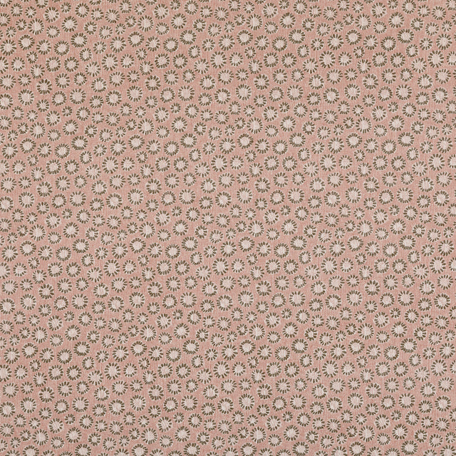 Coral 003