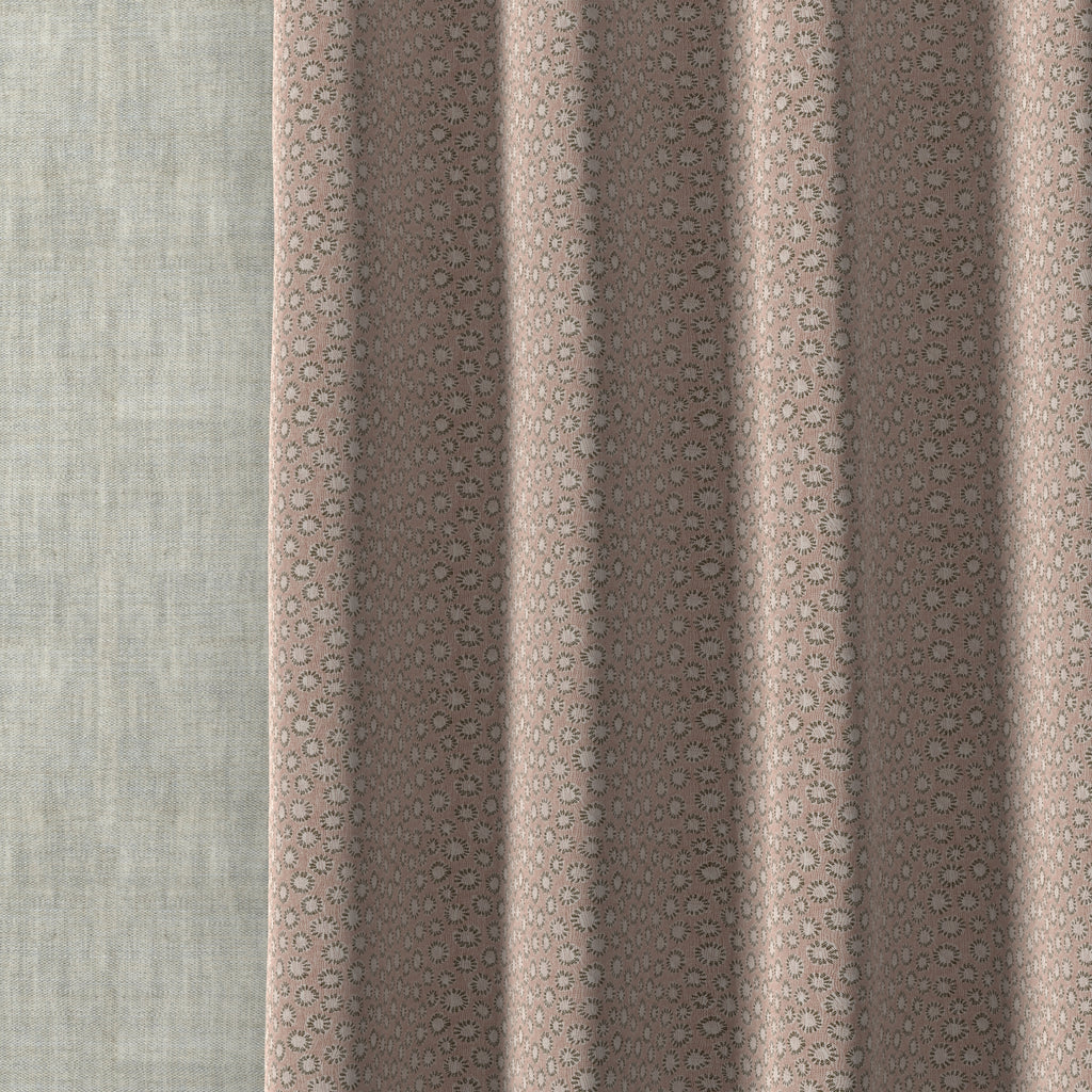 Coral 003