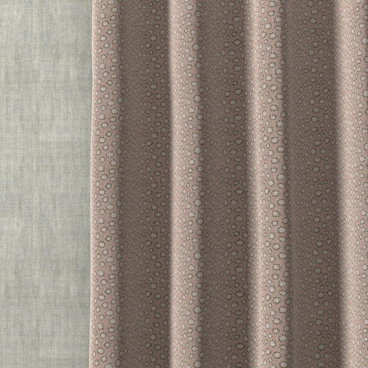 Coral 003