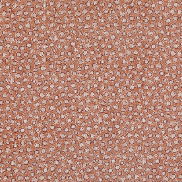 Coral 004
