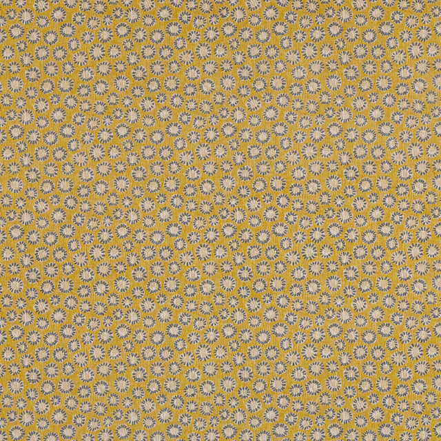 Coral 005