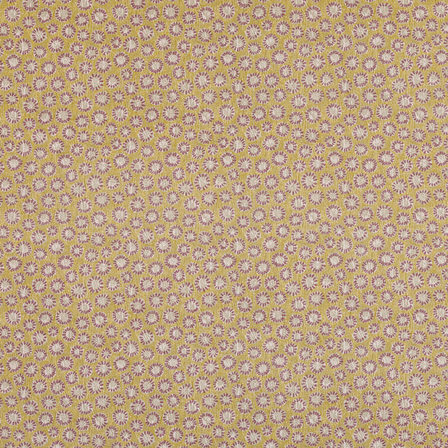 Coral 006
