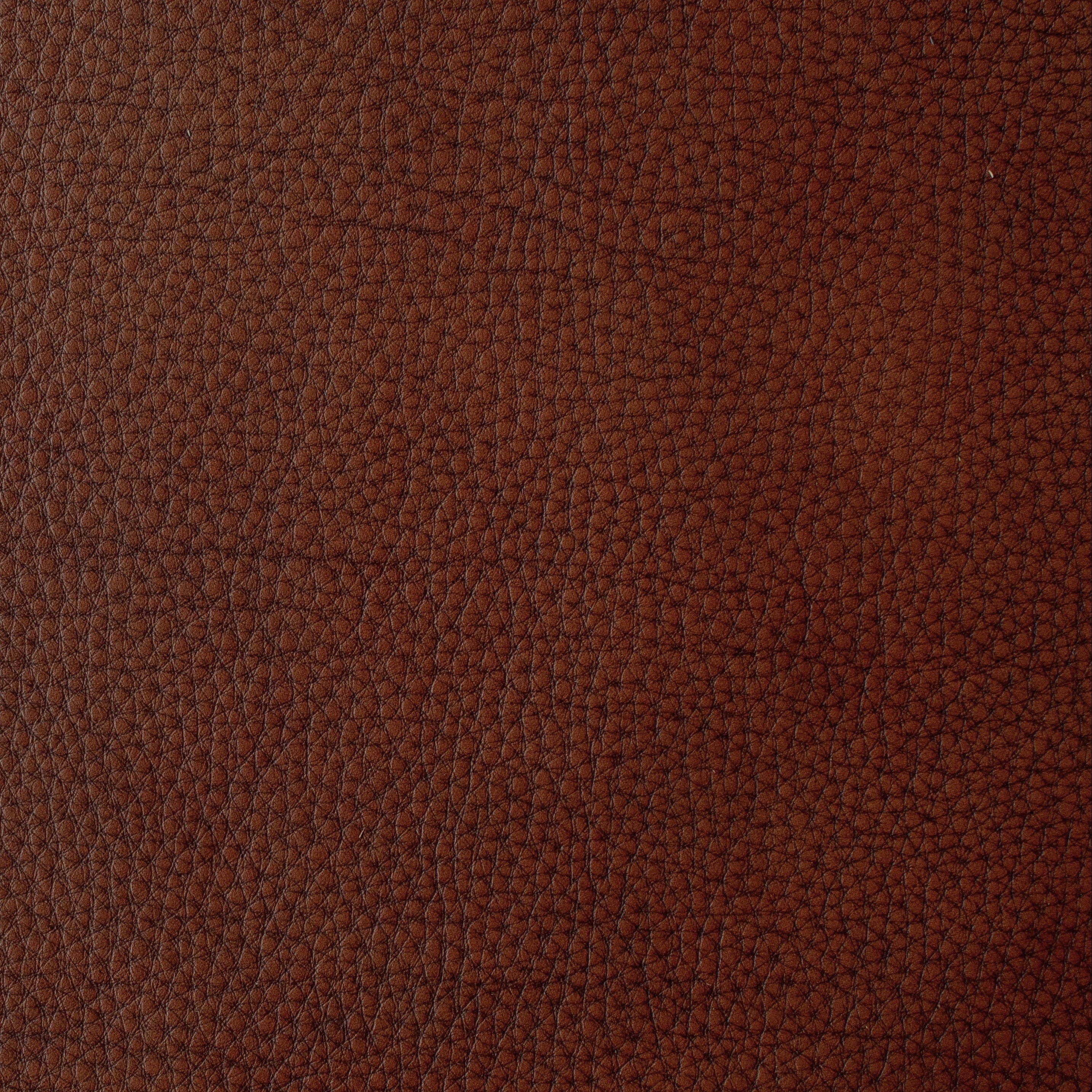 The Hide Life - Cigar