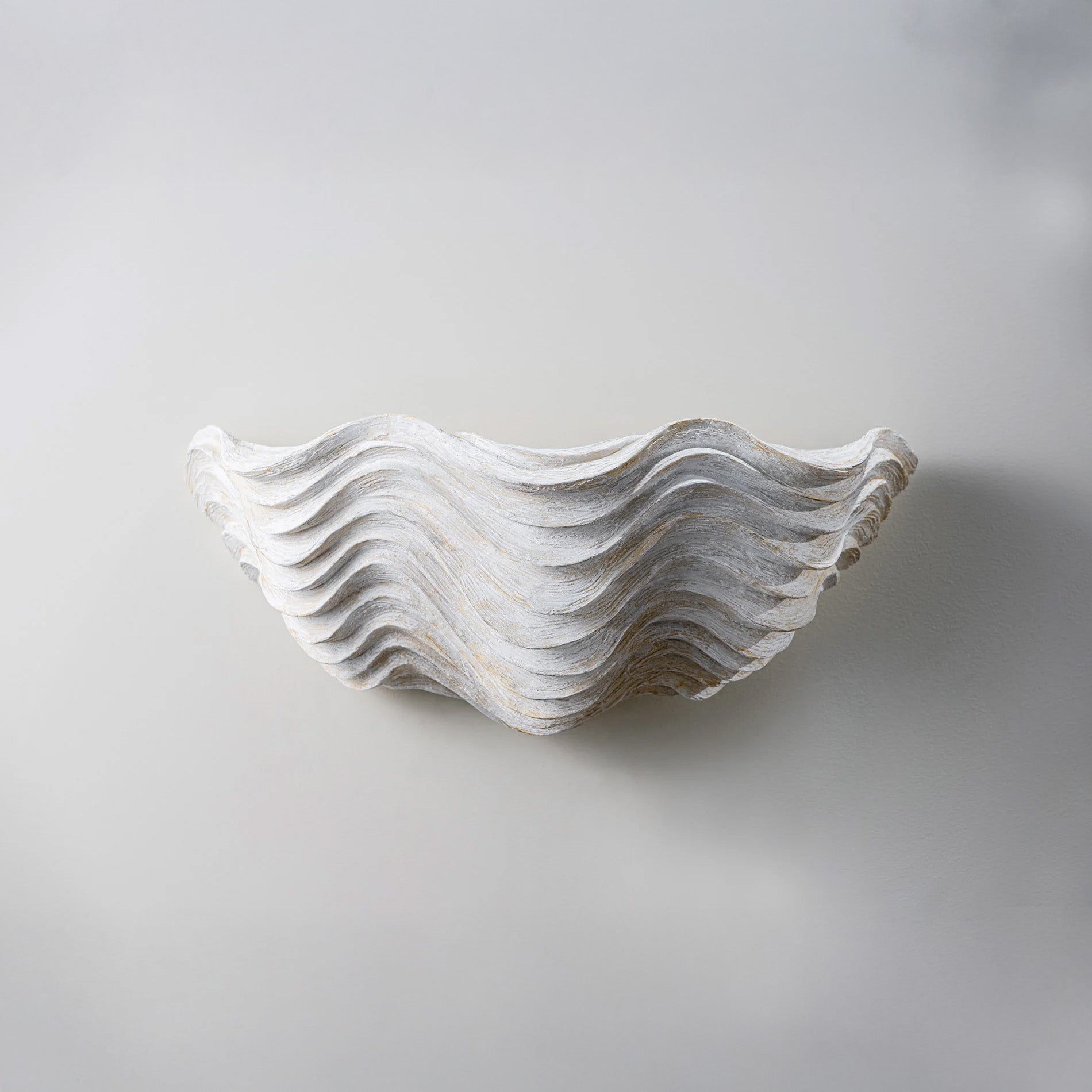 Clam Shell Wall Light - Drift White