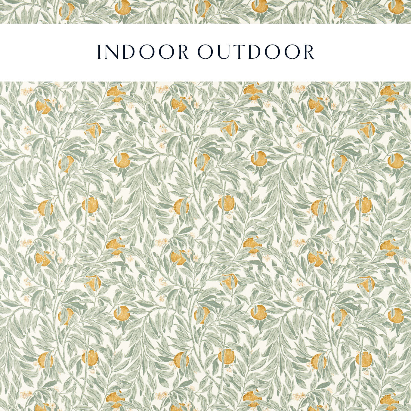 Ancient Apple Orchard - Golden Knot and Sage