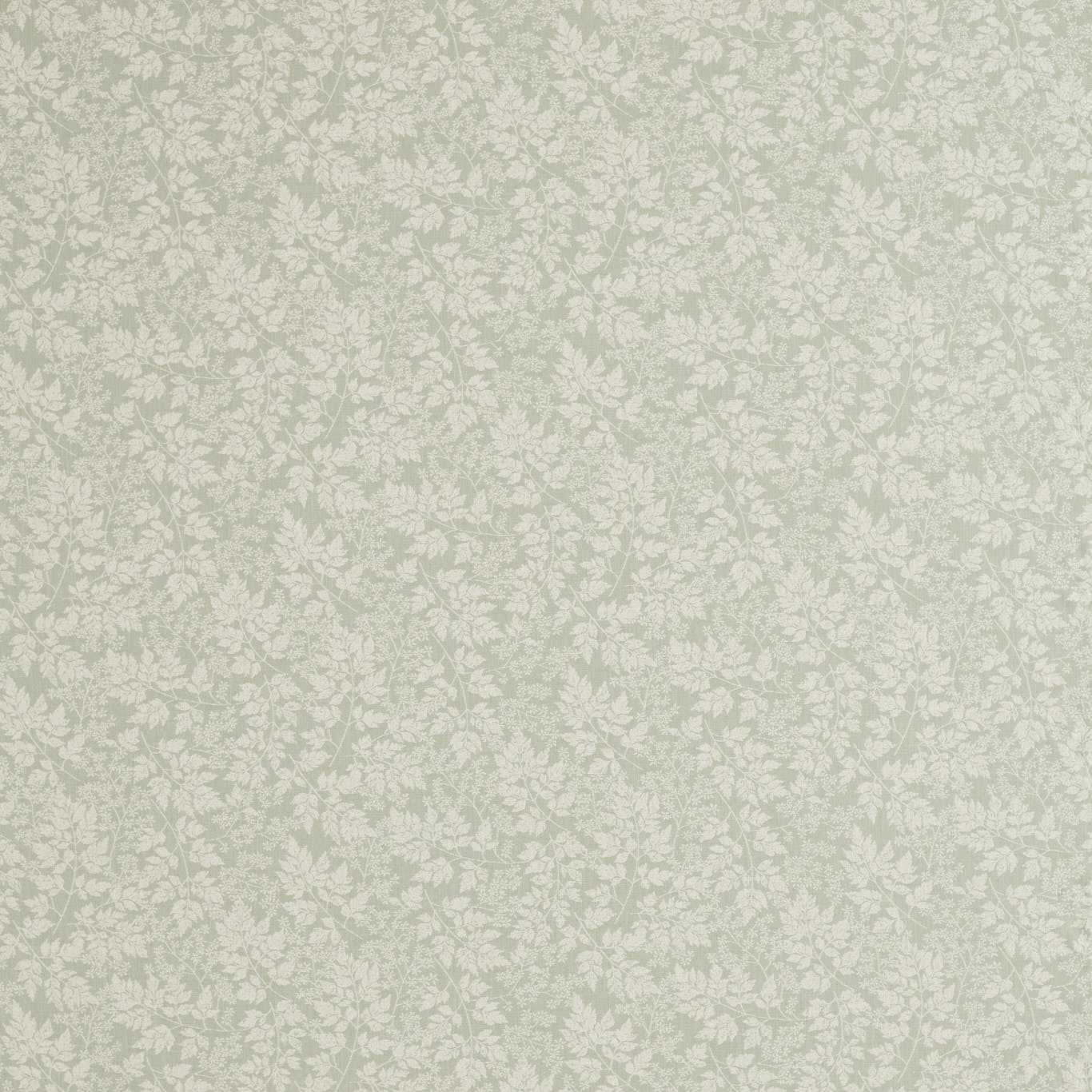 Spring Leaves  - Fennel