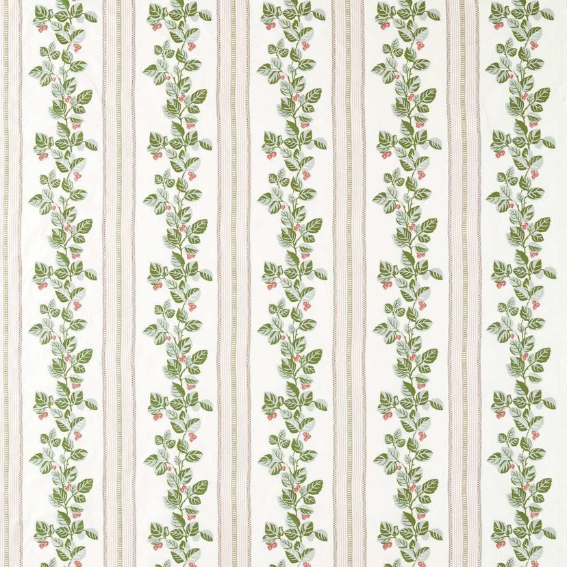 Cobnut Stripe - Leaf Green / Berry