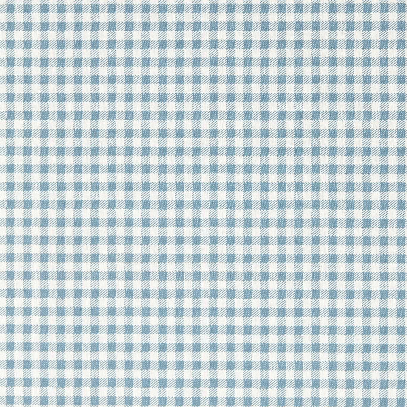 Gingham - Picnic Blue