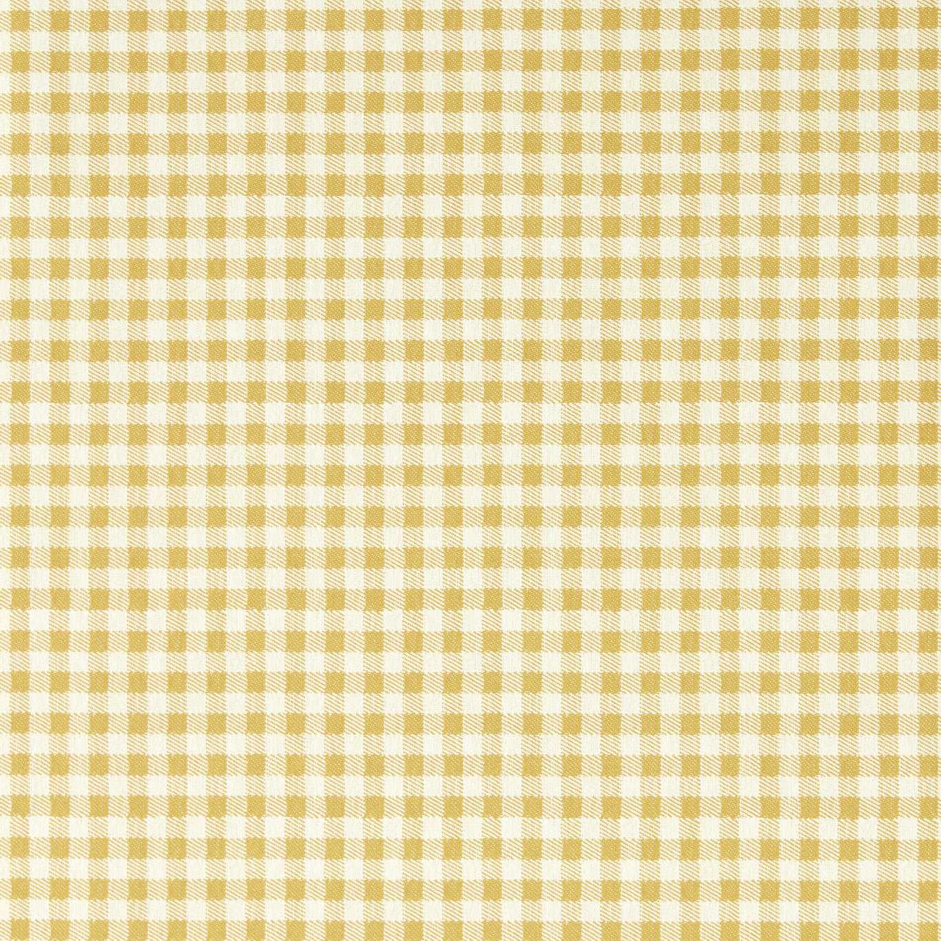 Gingham - Wild Honey