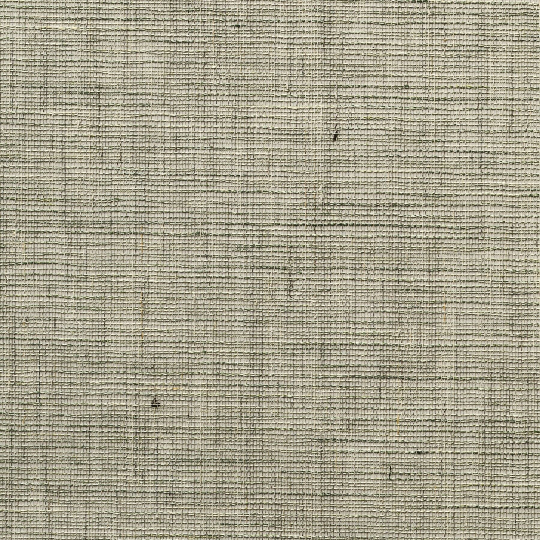 Banshu Linen - Seafoam