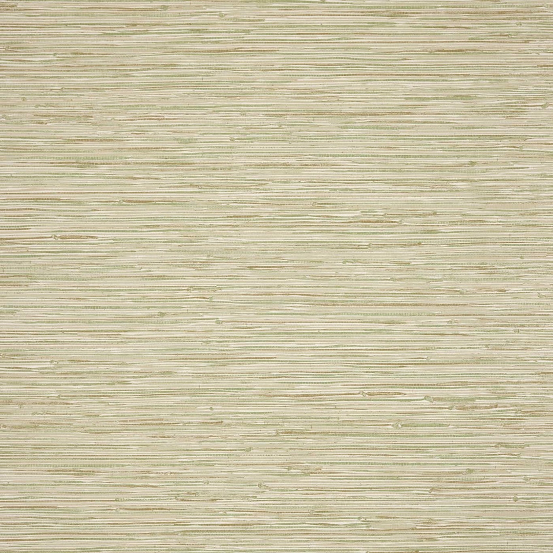 Seri II - Aloe / Parchment