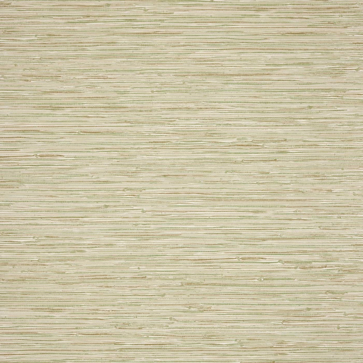 Seri II - Aloe / Parchment